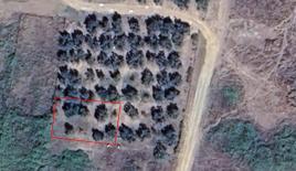 Terreno para 150 000 euro en Sitonia, Grecia