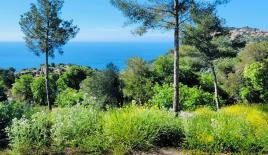Investment project for 2 700 000 euro in Cap d'Ail, France