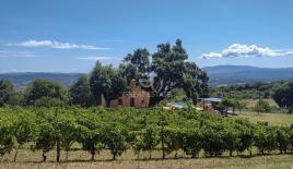 House for 1 400 000 euro in Roccastrada, Italy