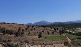 Land for 853 000 euro in Heraklion, Greece