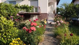 House for 88 000 euro in Loznica, Serbia