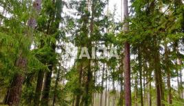 Terreno per 49 440 euro in Lettonia