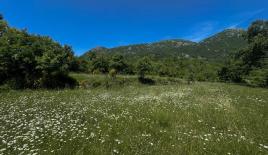 Grundstück für 135 000 euro in Dobra Voda, Montenegro