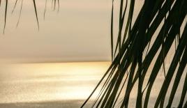 Villa für 295 000 euro in Alanya, Türkei