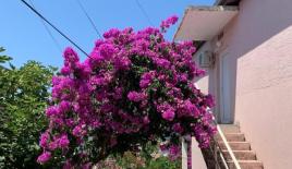 House for 130 000 euro in Utjeha, Montenegro