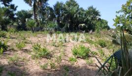 Terreno per 25 241 euro in Gambia