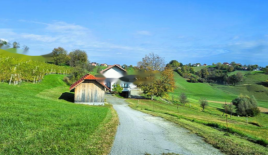 Azienda agricola per 230 000 euro a Podčetrtek, Slovenia