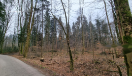 Terreno per 98 560 euro a Radovljica, Slovenia