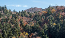 Land for 14 960 euro in Jesenice, Slovenia