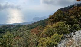 Grundstück für 451 500 euro in Buljarica, Montenegro