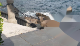 Wohnung für 700 000 euro in Opatija, Kroatien