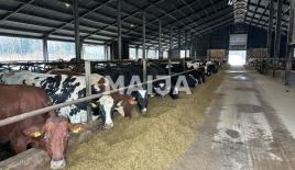 Terrain pour 2 500 000 Euro à Sigulda, Lettonie