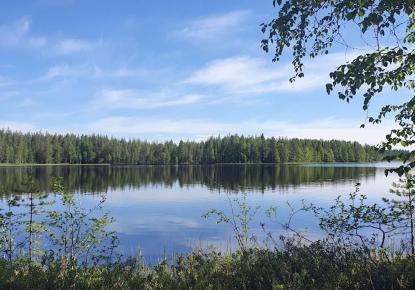 Grundstück für 49 000 euro in Kuhmo, Finnland