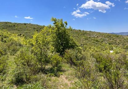 Grundstück für 750 000 euro in Alanya, Türkei