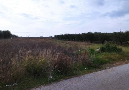 Terrain pour 90 000 Euro en Chalcidique, Grèce