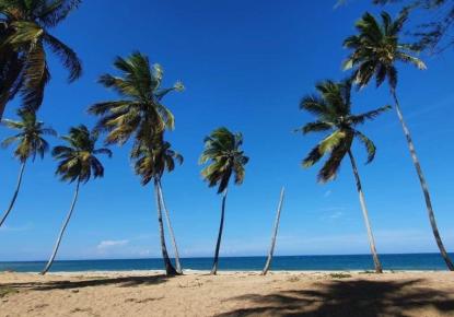 Land for 341 235 euro in Punta Cana, Dominican Republic