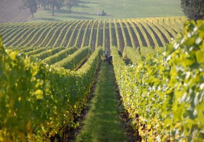 Terreno para 2 000 000 euro en Rumania