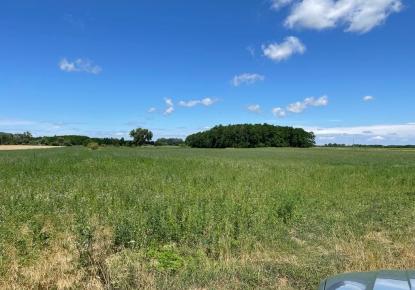 Terreno per 4 700 000 euro in Ungheria