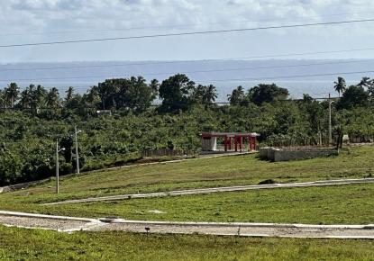 Land for 14 758 euro in Samana, Dominican Republic