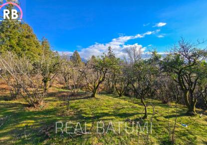 Terrain pour 38 332 Euro à Batoumi, Géorgie