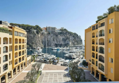 Apartment for 12 800 000 euro in Monaco, Monaco