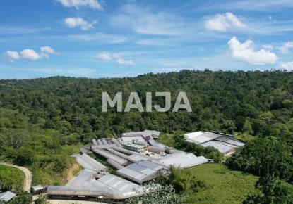 Industrial for 15 355 592 euro in Gaspar Hernandez, Dominican Republic