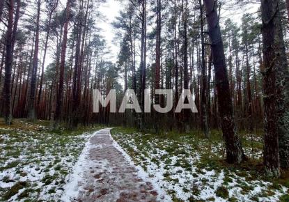 Land for 29 000 euro in Latvia