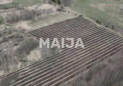 Land for 12 000 euro in Latvia