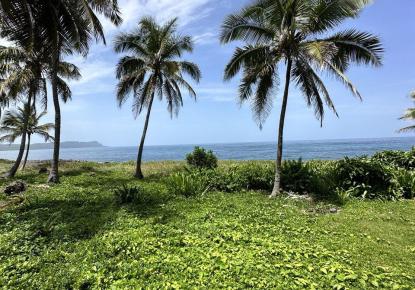 Land for 156 968 euro in Samana, Dominican Republic