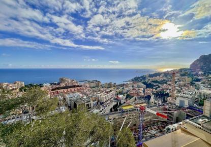 Apartment for 10 900 000 euro in Monaco, Monaco