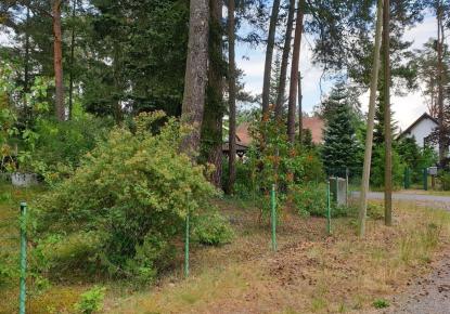 Terreno para 190 000 euro en Berlin, Alemania