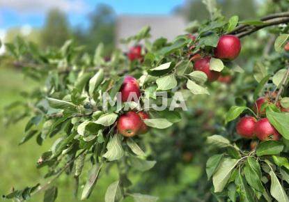 House for 215 000 euro in Latvia