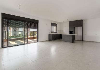 Penthouse pour 1 000 000 Euro à Rehovot, Israël