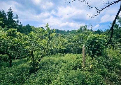 Terrain pour 42 591 Euro à Batoumi, Géorgie