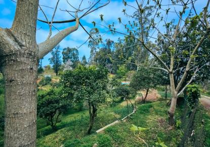 Terrain pour 34 073 Euro à Batoumi, Géorgie