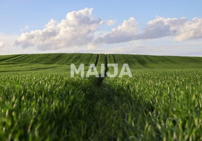 Land for 6 300 000 euro in Latvia