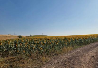 Grundstück für 417 000 euro in Tankowo, Bulgarien