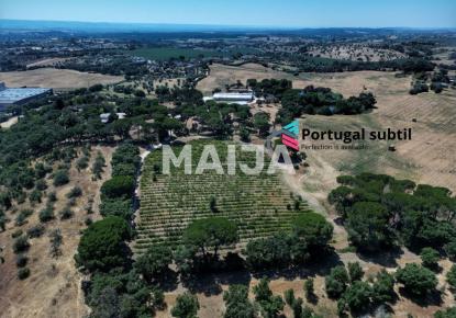 Land for 6 500 000 euro in Torres Novas, Portugal