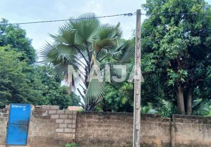 Terreno per 23 922 euro in Gambia