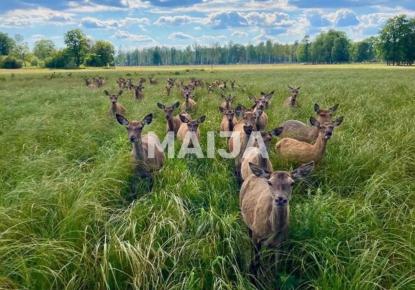 Commercial property for 800 000 euro in Latvia