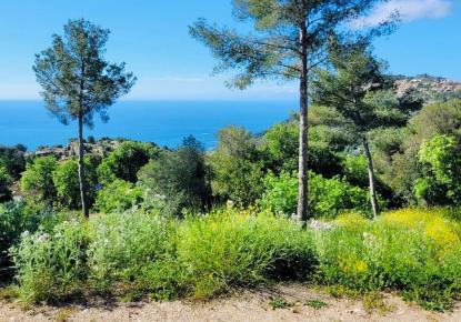 Projet d'investissement pour 2 700 000 Euro à Cap d'Ail, France