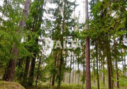 Land for 49 440 euro in Latvia