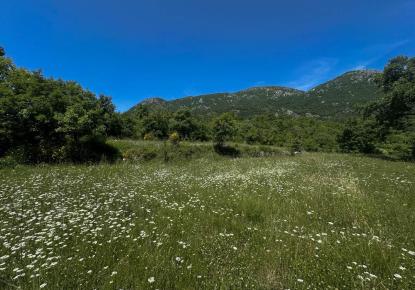 Terreno para 135 000 euro en Dobra Voda, Montenegro