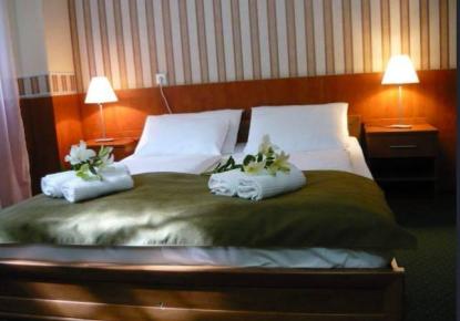Hotel, albergo per 7 500 000 euro a Budapest, Ungheria