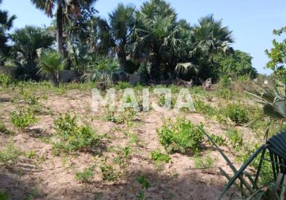 Terreno per 25 241 euro in Gambia