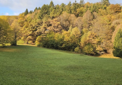 Terrain pour 194 097 Euro à Kranj, Slovénie