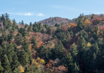Terrain pour 14 960 Euro à Jesenice, Slovénie