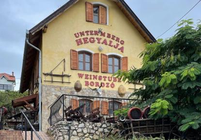 Caffè, ristorante per 418 848 euro a Heviz, Ungheria