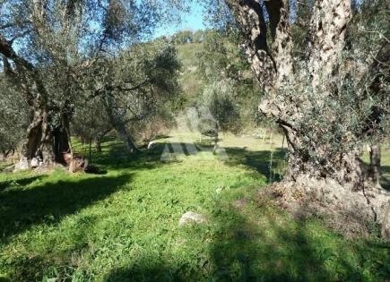 Land for 110 000 euro in Kunje, Montenegro