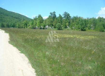 Terrain pour 500 000 Euro en Pluzine, Monténégro